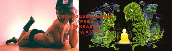 бошки Алексеевка