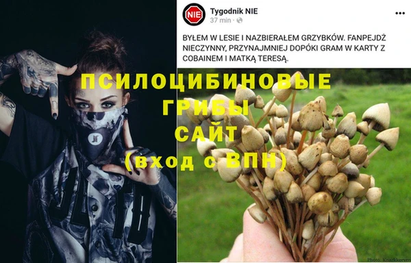 бошки Алексеевка